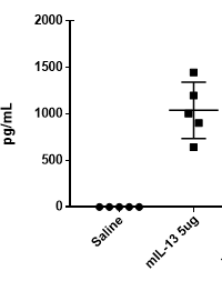 Mouse CCL17/TARC DuoSet ELISA DY529