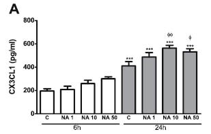 Rat CX3CL1/Fractalkine DuoSet ELISA DY537