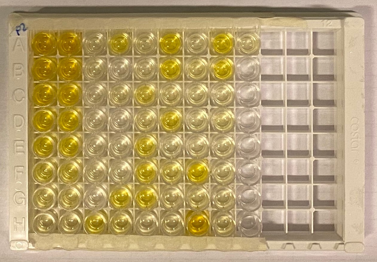Human TRANCE/RANK L/TNFSF11 DuoSet ELISA DY626