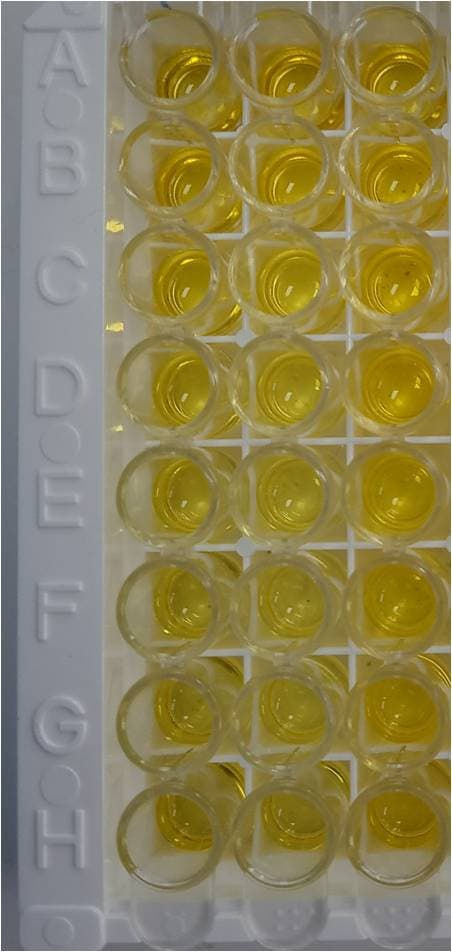 Human IL-15/IL-15R alpha Complex DuoSet ELISA DY6924