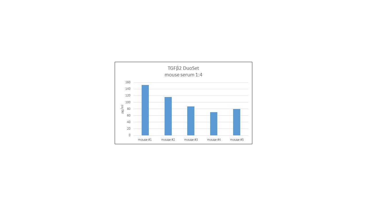 Mouse TGF-beta 2 DuoSet ELISA DY7346-05
