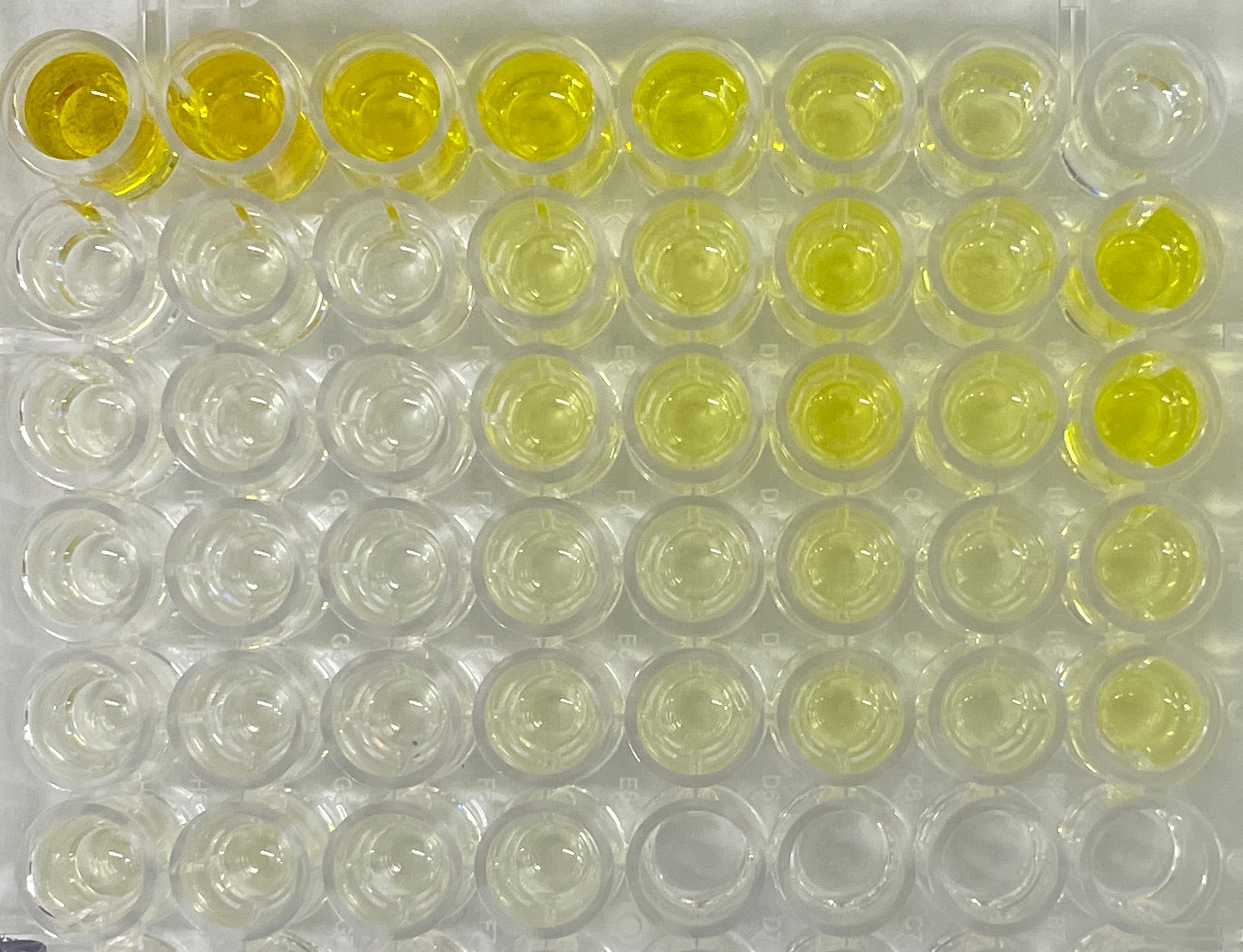 Mouse IL-18 DuoSet ELISA DY7625-05