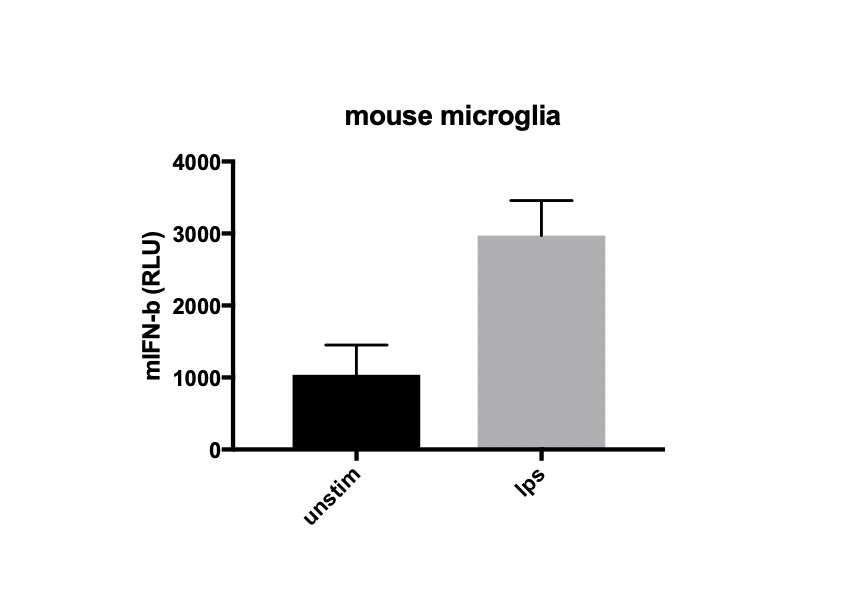 Mouse IFN-beta DuoSet ELISA DY8234-05