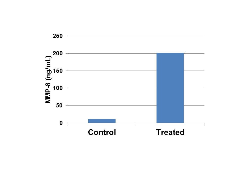 Human Total MMP-8 DuoSet ELISA DY908