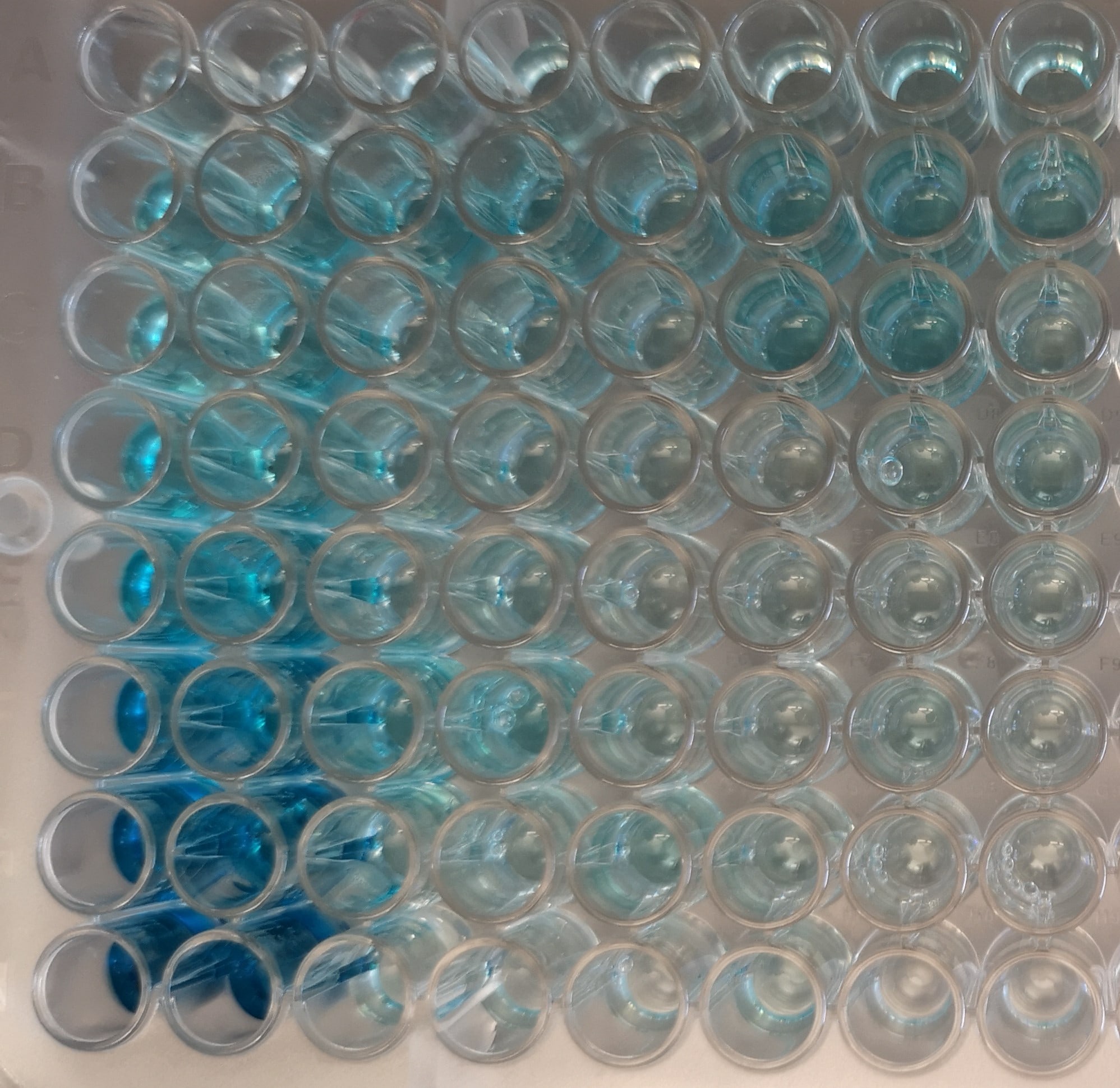 Human Angiopoietin-1 DuoSet ELISA DY923