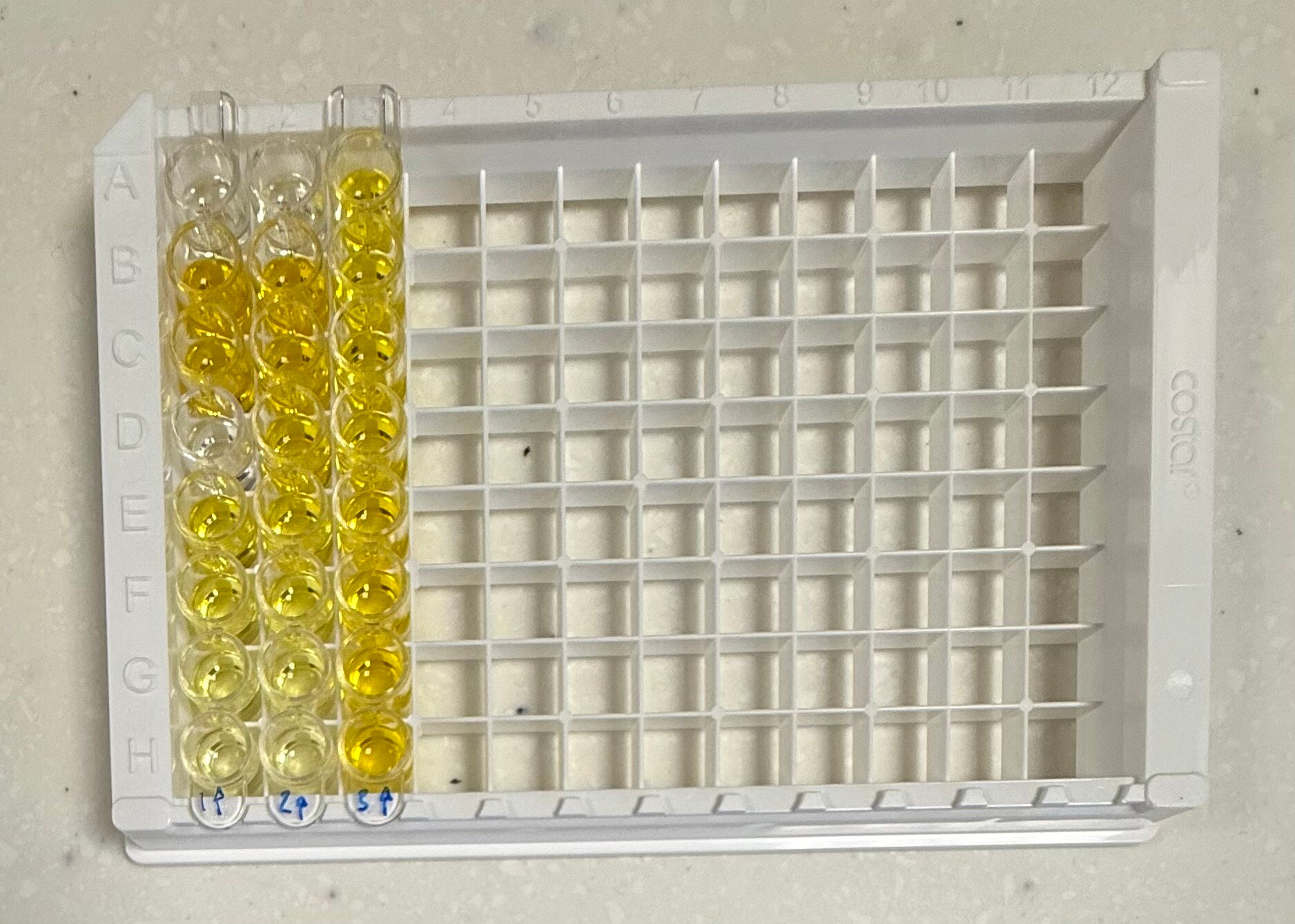Human EMMPRIN/CD147 DuoSet ELISA DY972