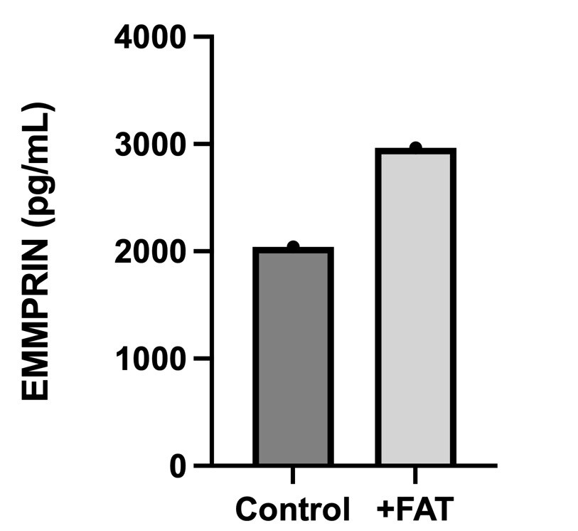 Human EMMPRIN/CD147 DuoSet ELISA DY972