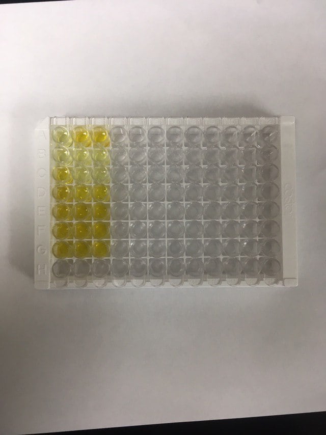 Clear Strip-well Microplates, 25 Pack DY990