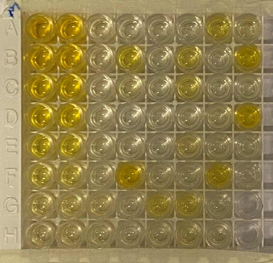 Clear Strip-well Microplates, 25 Pack DY990