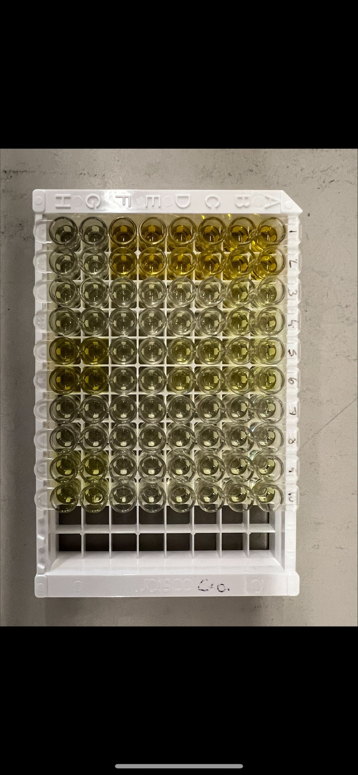 Clear Strip-well Microplates, 25 Pack DY990