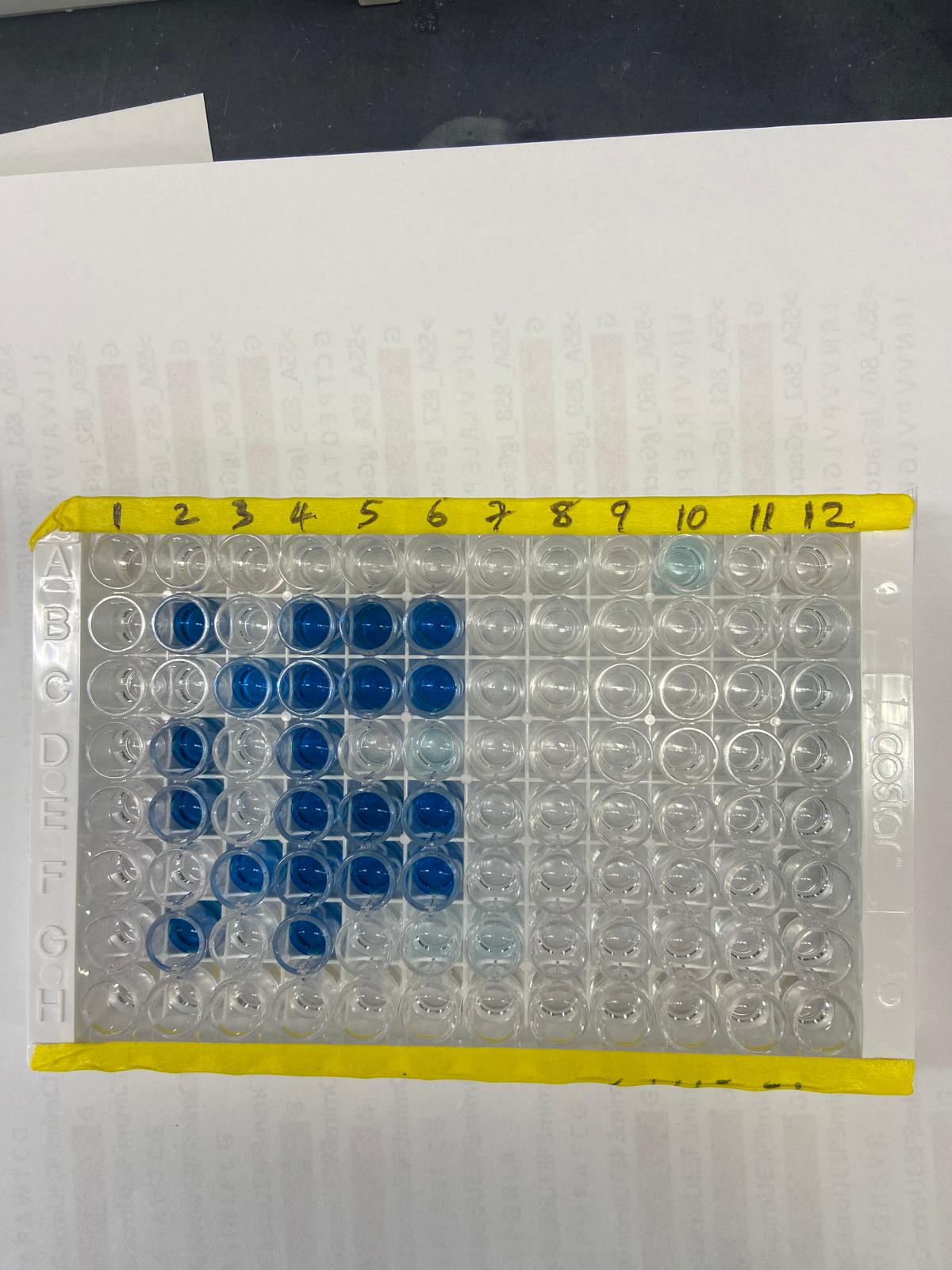 Clear Strip-well Microplates, 25 Pack DY990