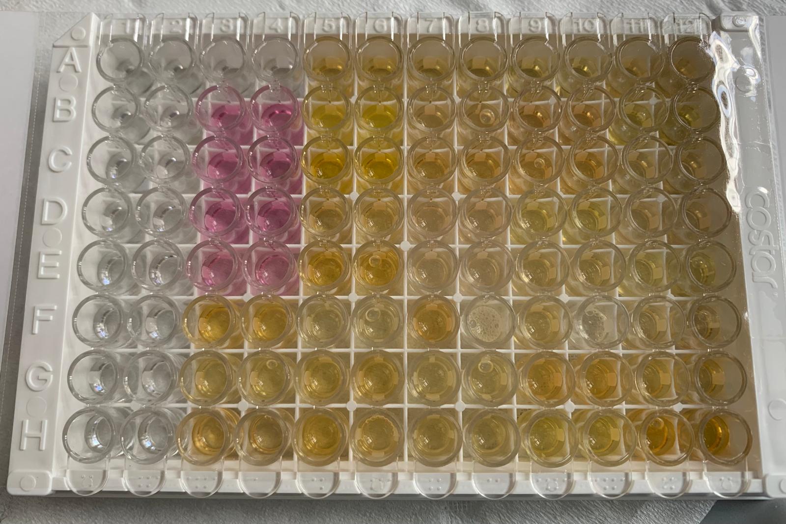 Clear Strip-well Microplates, 25 Pack DY990