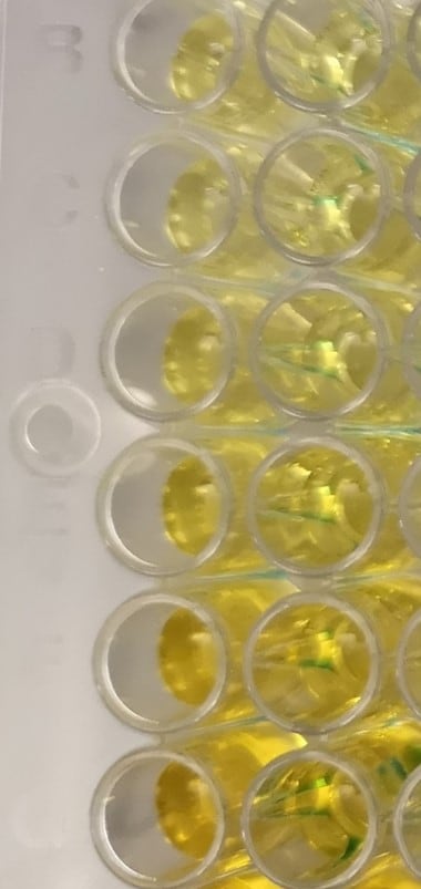 Reagent Diluent Concentrate 2 DY995