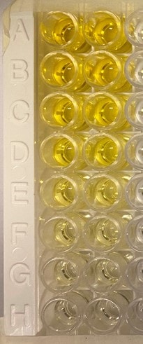 Reagent Diluent Concentrate 2 DY995
