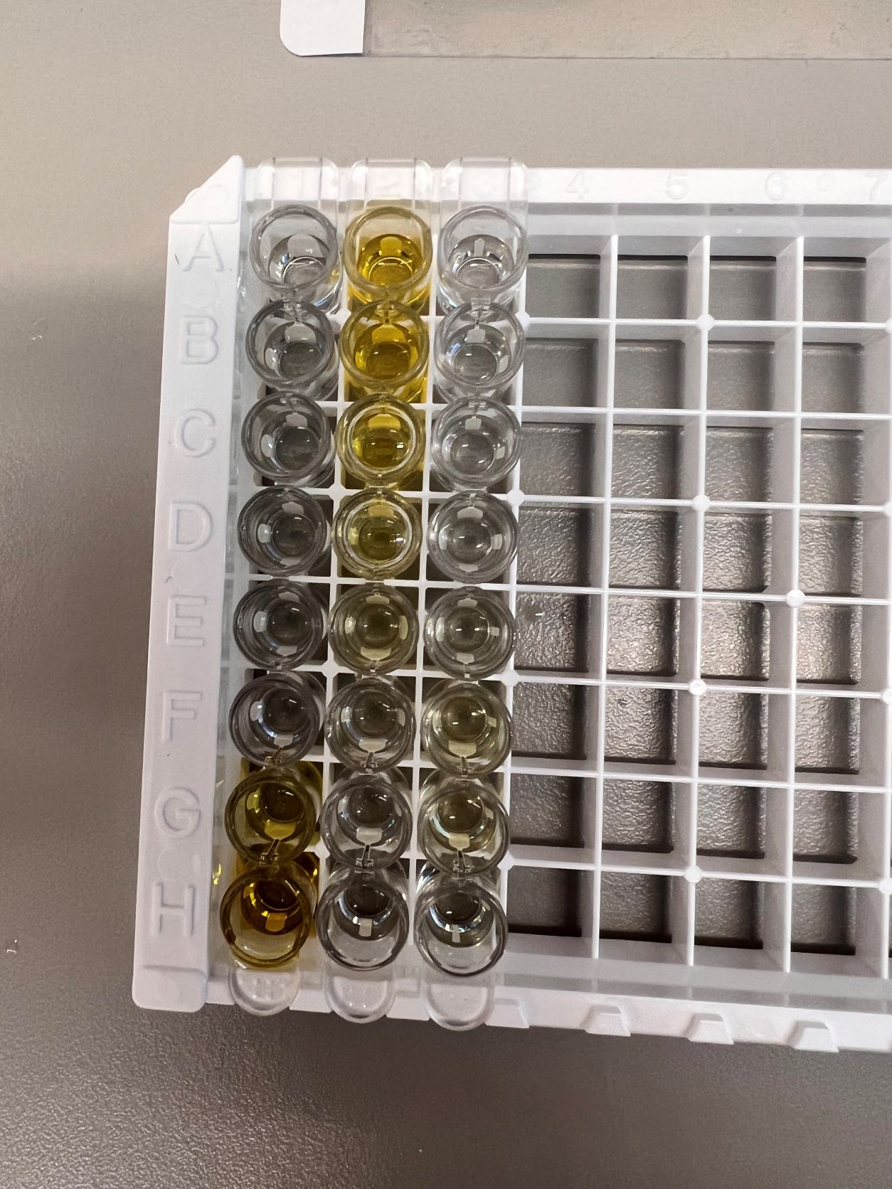Reagent Diluent Concentrate 2 DY995