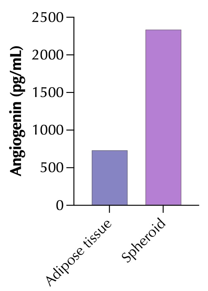 Reagent Diluent Concentrate 2 DY995