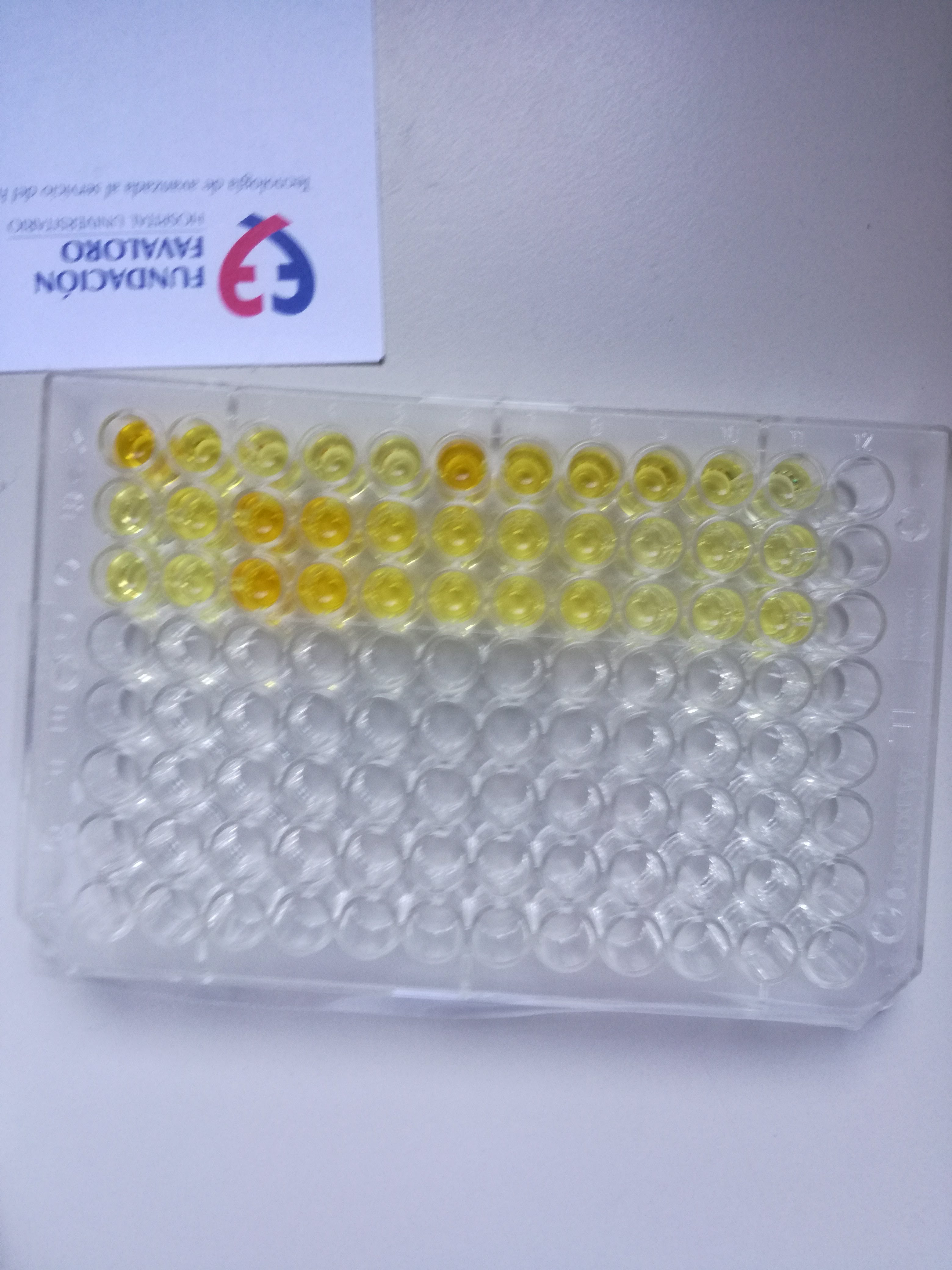 Streptavidin-HRP DY998