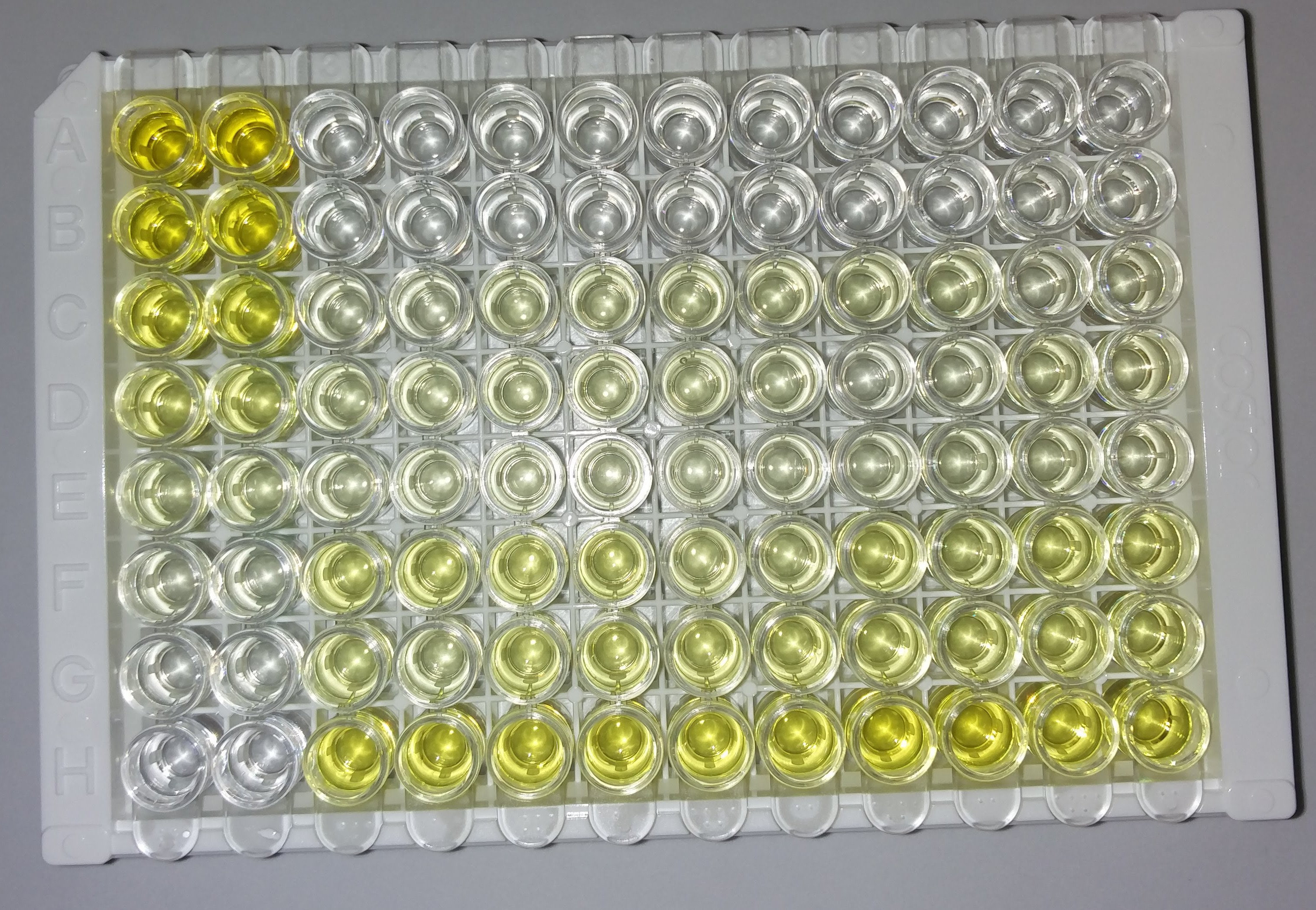 Streptavidin-HRP DY998