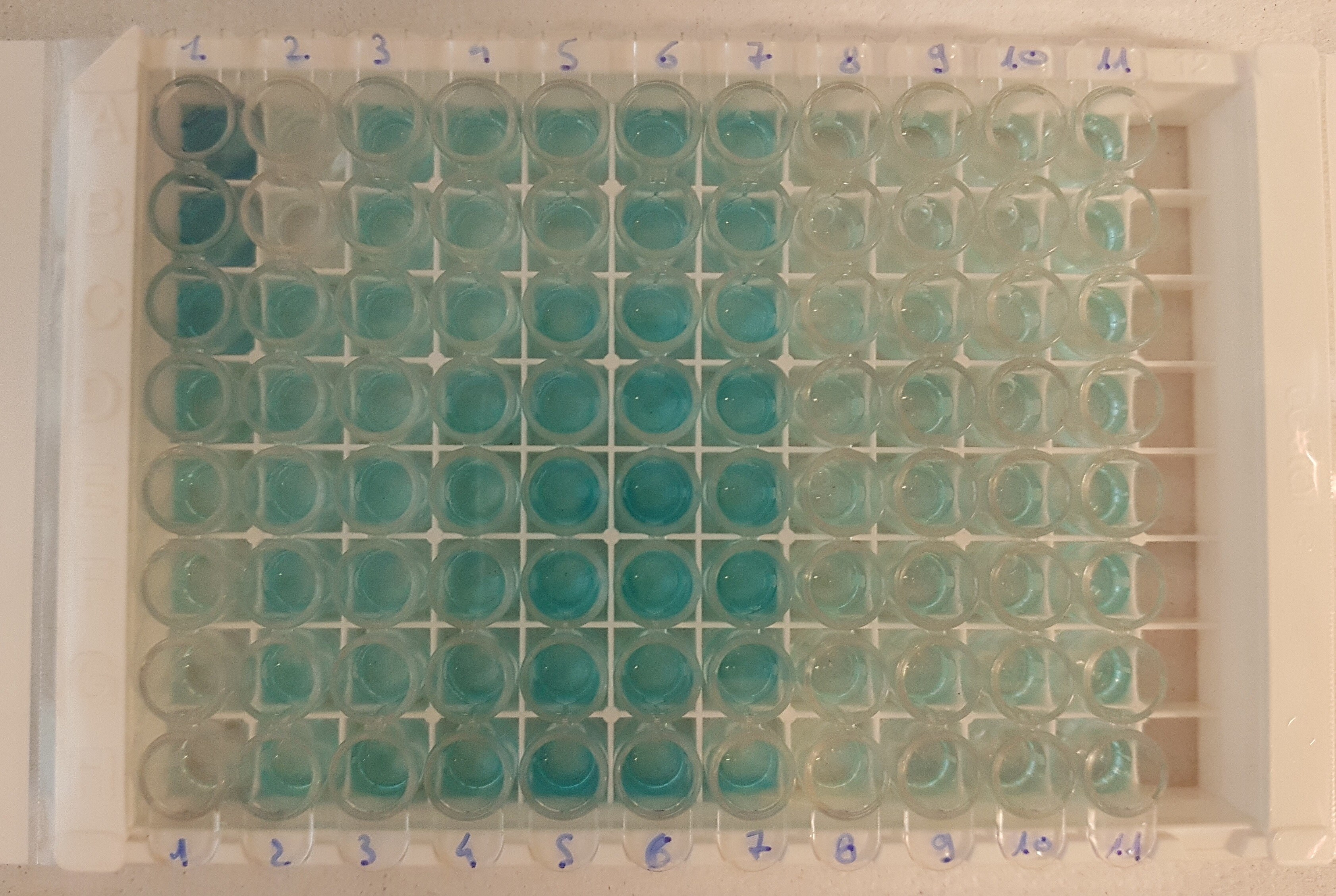 Substrate Reagent Pack DY999