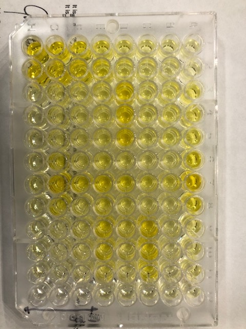 Substrate Reagent Pack DY999