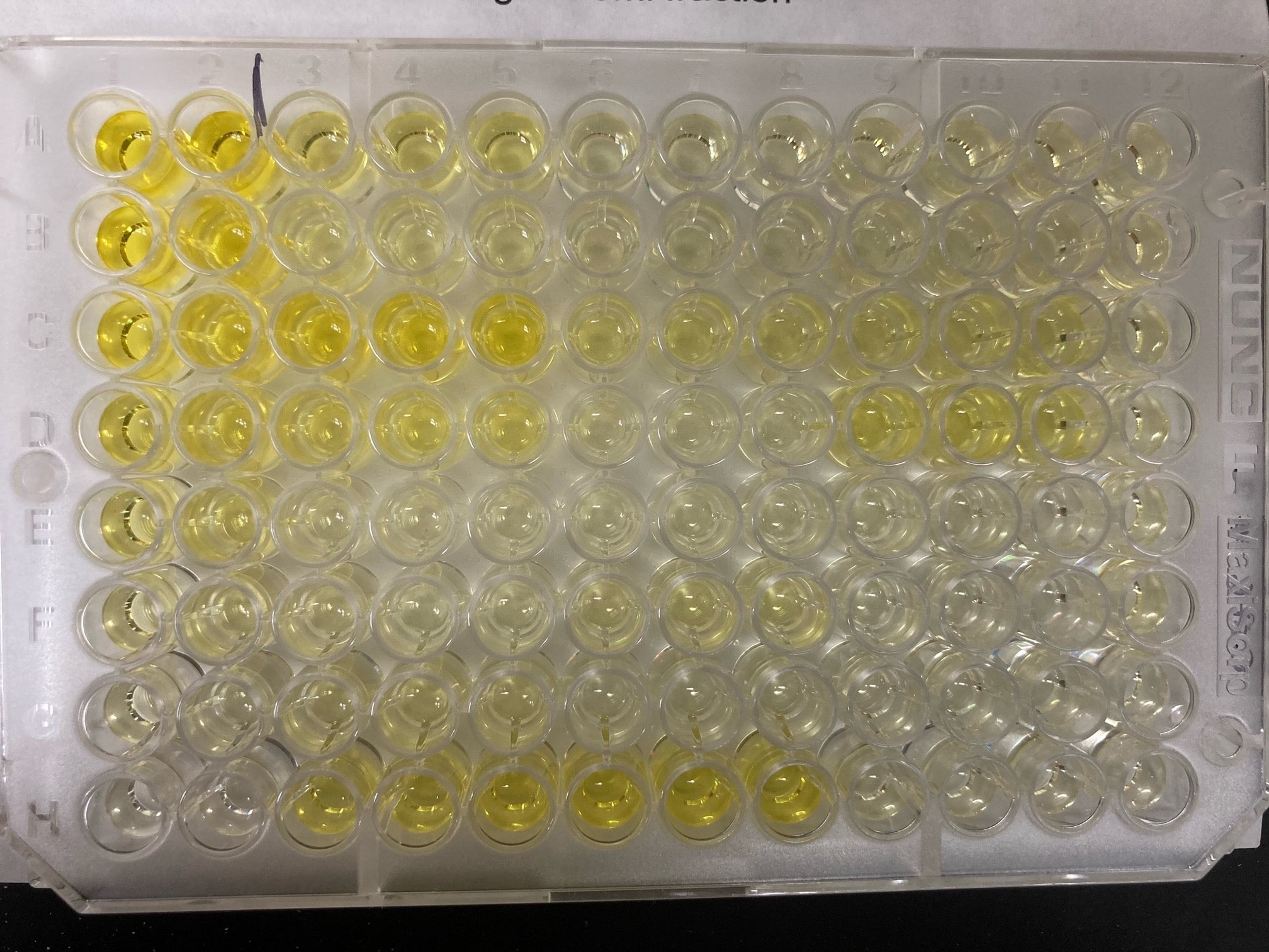 Substrate Reagent Pack DY999