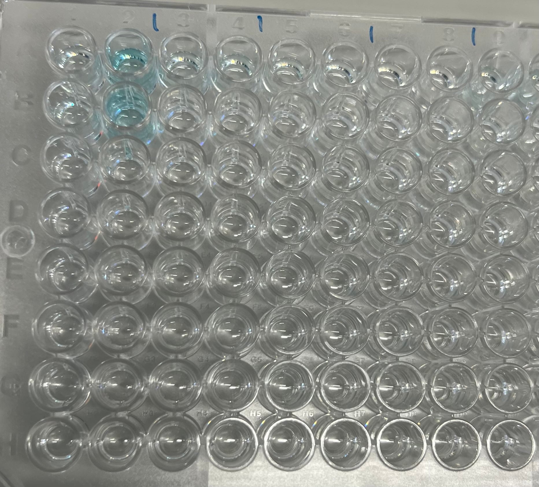 Substrate Reagent Pack DY999