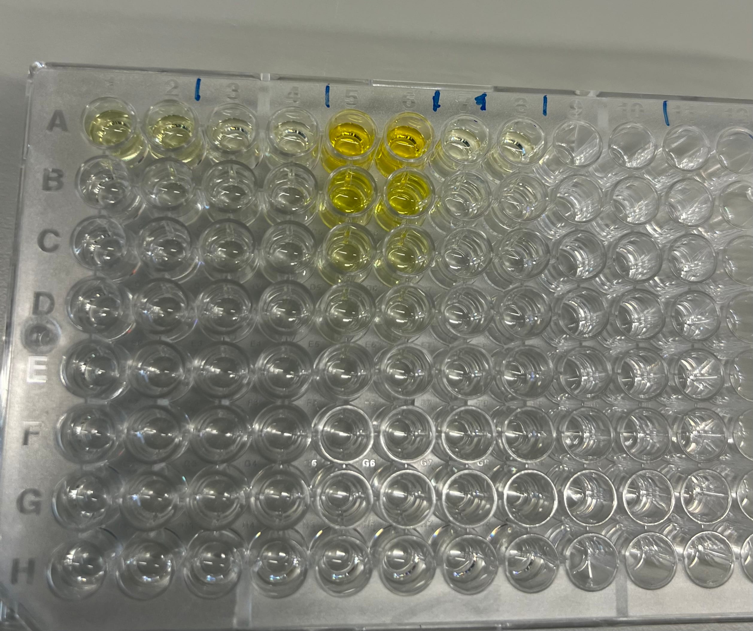 Substrate Reagent Pack DY999B