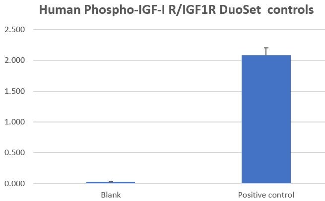 Human Phospho-IGF-I R/IGF1R DuoSet IC ELISA DYC1770-2