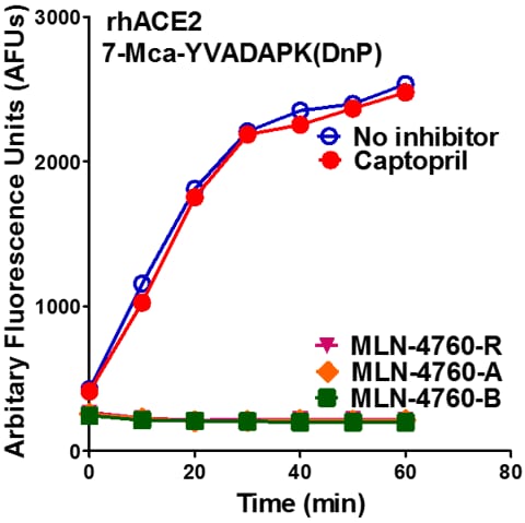 Mca-YVADAPK(Dnp)-OH Fluorogenic Peptide Substrate ES007