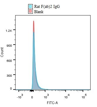 Rat F(ab)2 IgG (H+L) Fluorescein‑conjugated Antibody F0104B