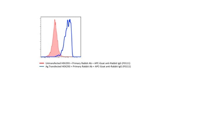 Rabbit IgG APC‑conjugated Antibody F0111