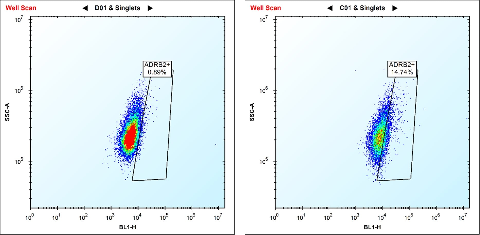 Human beta-2 Adrenergic R/ADRB2 Alexa Fluor® 488-conjugated Antibody FAB100401G