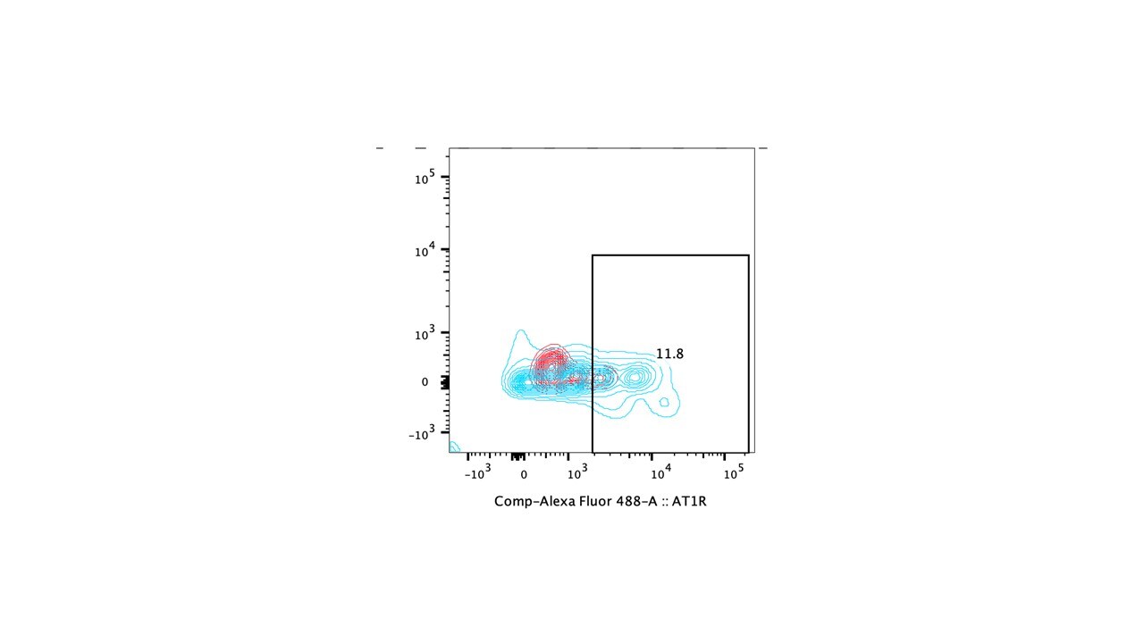 Human AGTR‑1 Alexa Fluor® 488‑conjugated Antibody FAB10244G
