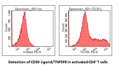 Human CD30 Ligand/TNFSF8 PE‑conjugated Antibody FAB1028P