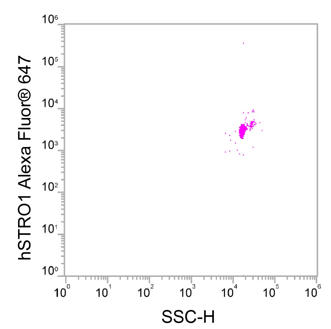 Human STRO‑1 Alexa Fluor® 647‑conjugated Antibody FAB1038R