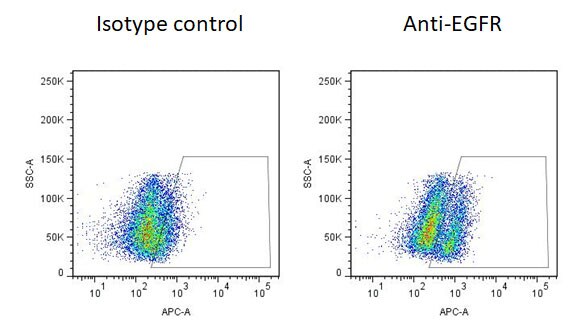 Human EGFR APC-conjugated Antibody FAB10951A