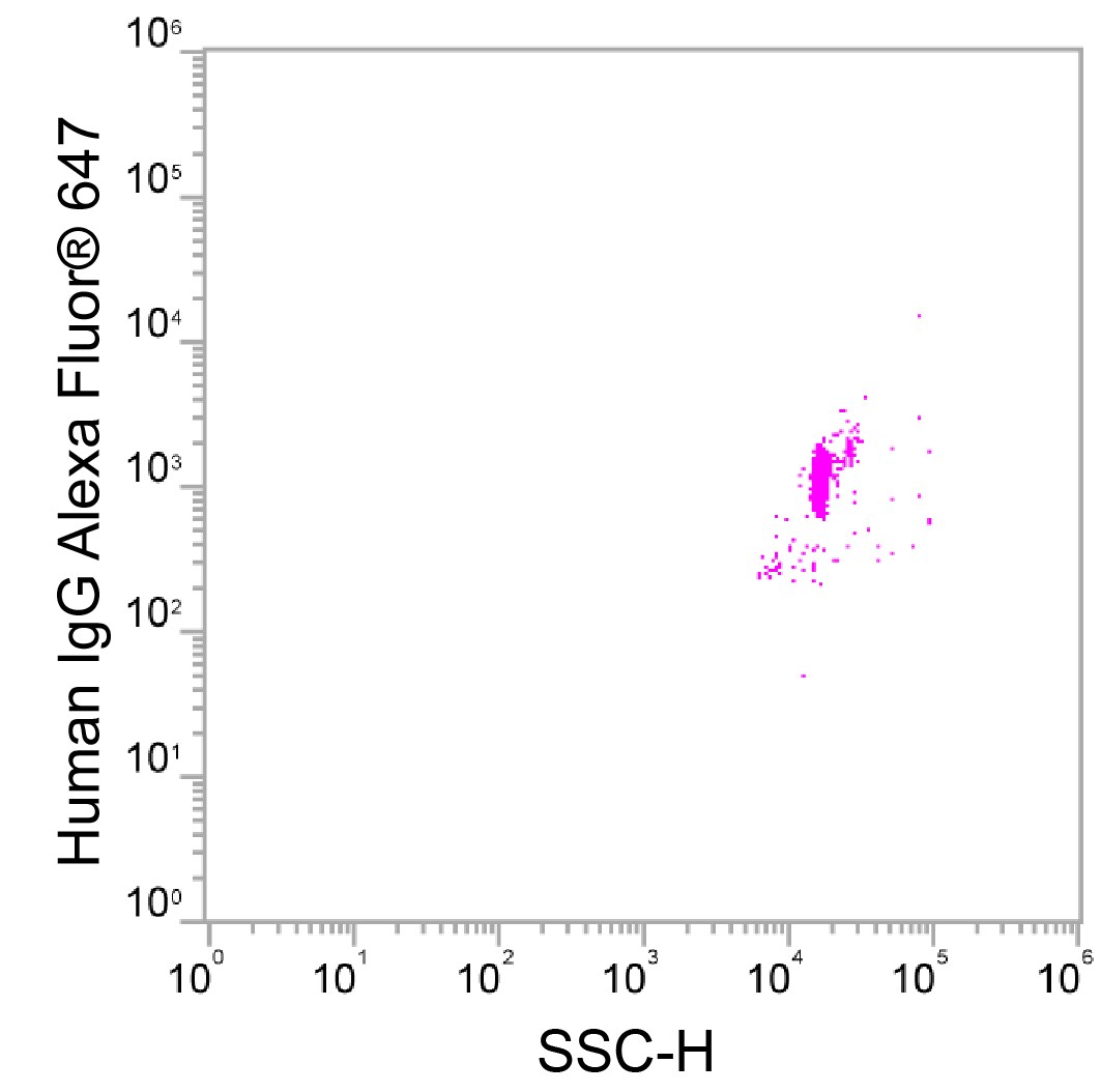 Human IgG Alexa Fluor® 647‑conjugated Antibody FAB110R