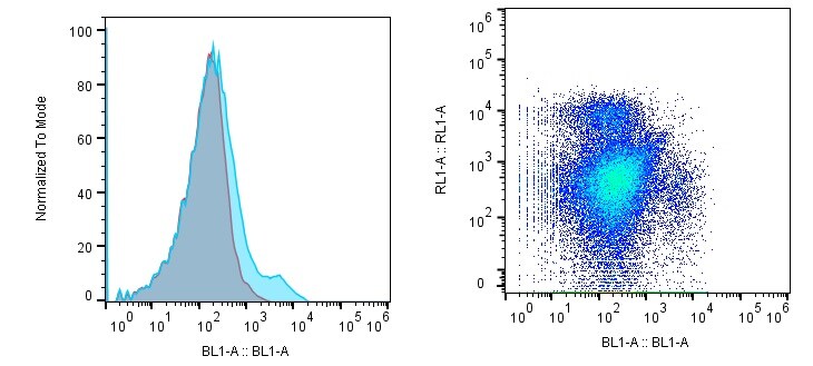Mouse CD8 alpha  Fluorescein‑conjugated Antibody FAB116F