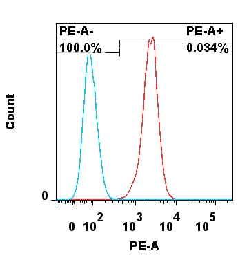 Human Integrin  alpha V/CD51 PE‑conjugated Antibody FAB1219P