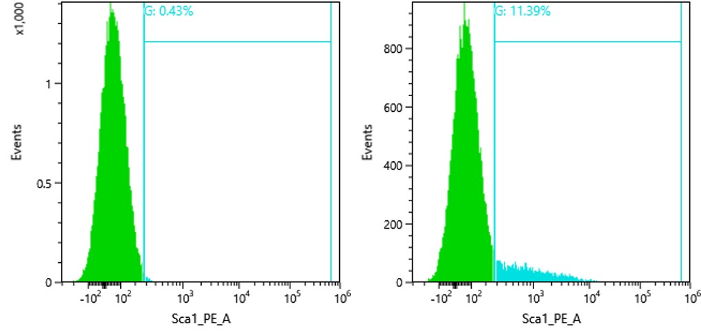 Mouse Sca‑1/Ly6 PE‑conjugated Antibody FAB1226P
