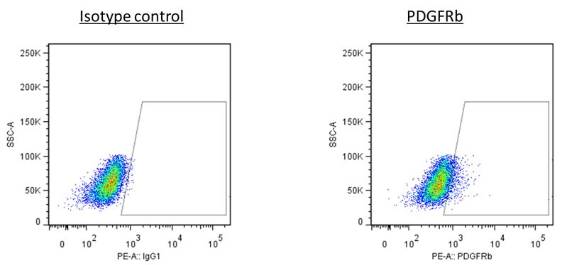 Human PDGF R beta  PE‑conjugated Antibody FAB1263P