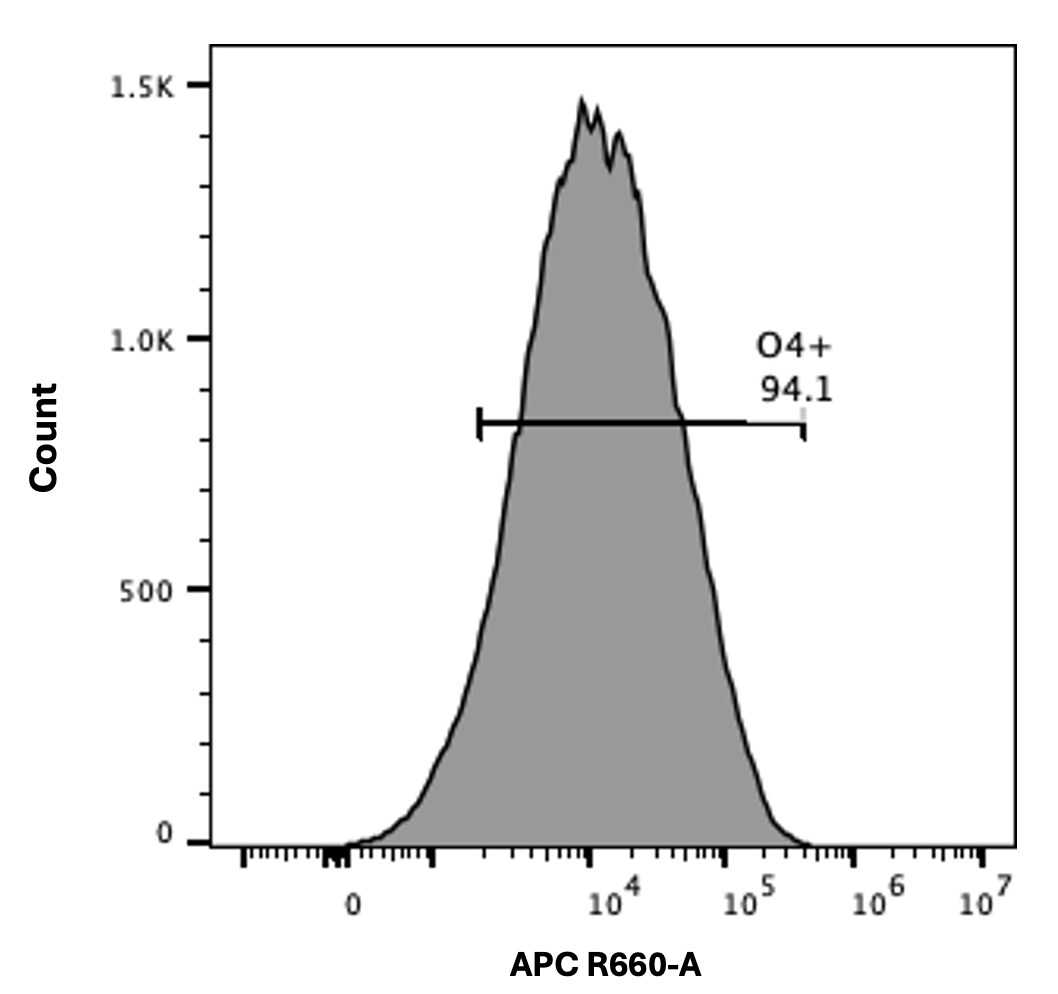  Oligodendrocyte Marker O4 APC-conjugated Antibody FAB1326A