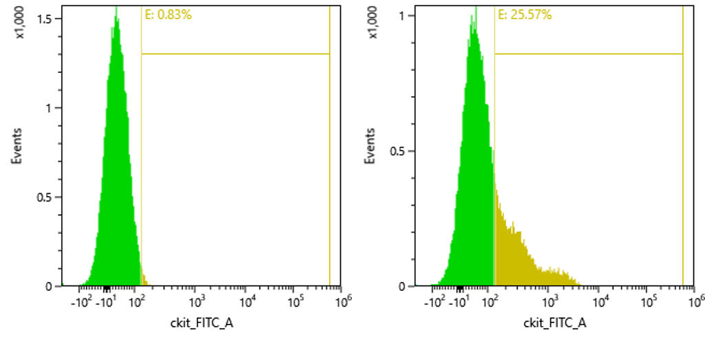 Mouse CD117/c-kit Alexa Fluor® 488-conjugated Antibody FAB1356G