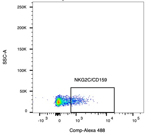 Human NKG2C/CD159c Alexa Fluor® 488‑conjugated Antibody FAB138G