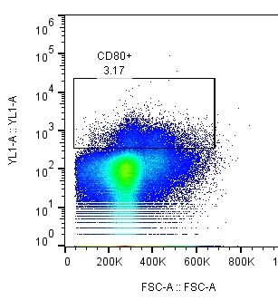 Human B7‑1/CD80 PE‑conjugated Antibody FAB140P