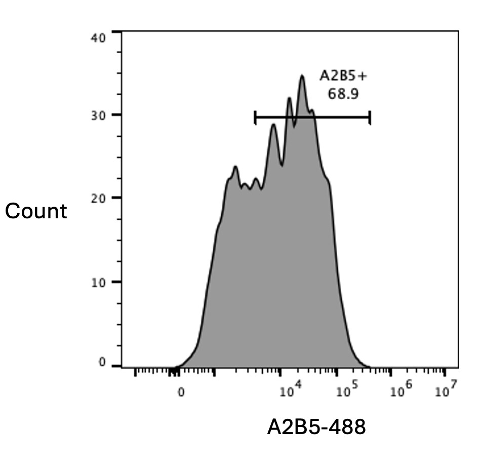 Human/Mouse/Rat/Chicken A2B5 Alexa Fluor® 488‑conjugated Antibody FAB1416G