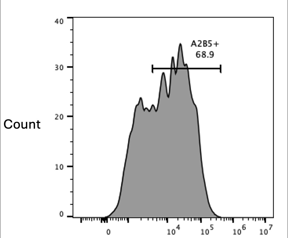 A2B5 Alexa Fluor® 750-conjugated Antibody FAB1416S