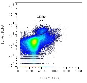 Human B7‑2/CD86 Fluorescein‑conjugated Antibody FAB141F