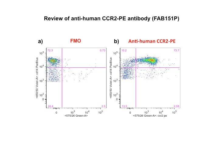 Human CCR2 PE‑conjugated Antibody FAB151P