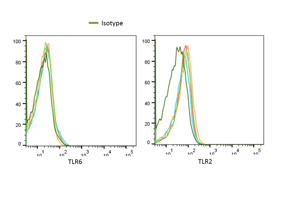 Mouse TLR6 Alexa Fluor® 647-conjugated Antibody FAB1533R